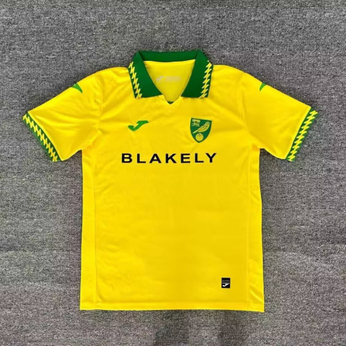 25/26 Norwich Home jersey