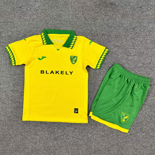 Kids kit 25/26  Norwich City Home jersey