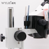 Wylie Storage sleeve for microscope tools