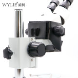 Wylie Storage sleeve for microscope tools