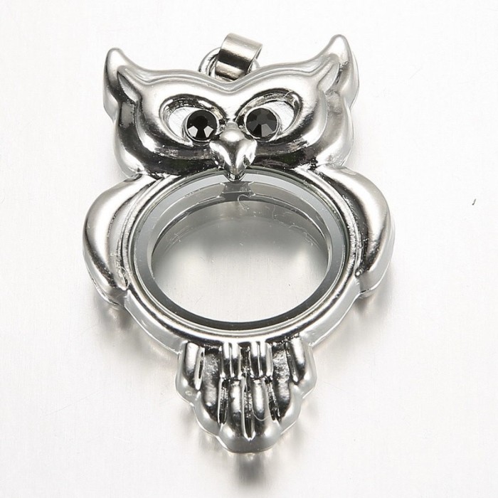 Owl Floating Locket, glass locket pendant, Floating glass Lockets, Wholesale floating lockets (#5010022)