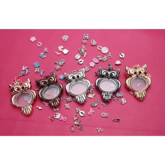 Owl Floating Locket, glass locket pendant, Floating glass Lockets, Wholesale floating lockets (#5010022)