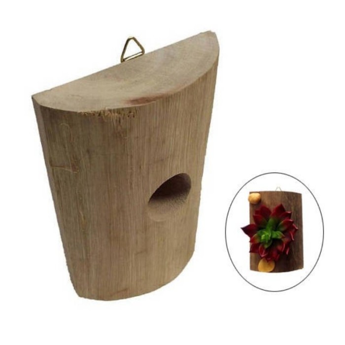 DIY Wooden Framed,Wooden Air Plant Holder - Tree Log Succulent Pot - Hygge Living Decor - Eco Friendly Desk Decor - Rustic Home Decor