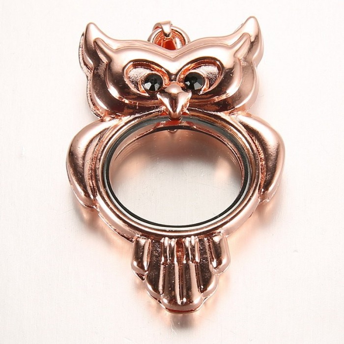 Owl Floating Locket, glass locket pendant, Floating glass Lockets, Wholesale floating lockets (#5010022)