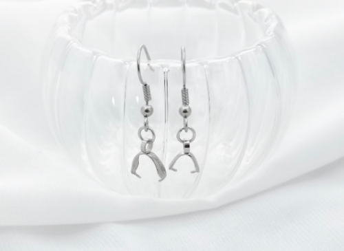 316L Earring Hooks,Stainless Steel Pendant Clasp Earring Hooks Ear Wire Buckle Dangle Earrings for Women Girls Jewelry Making Supplies