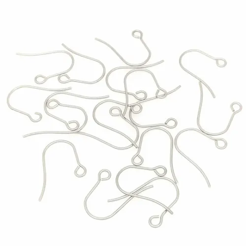 316L Stainless Steel Earring Hooks with Loop Hole|Earring Components for Jewelry Making Supplies and Earring Finding