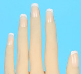 WMDOLL TPE製ラブドール 170cm Dカップ #383ヘッド 欧米仕様 送料無料ダッチワイフ