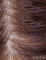 ブラウン-植毛あり（硬めのシリコンヘッドのみ）