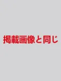ロリ系人形 RealGirl (A工場製) ラブドール 138cm 貧乳 R53ヘッドダッチワイフ