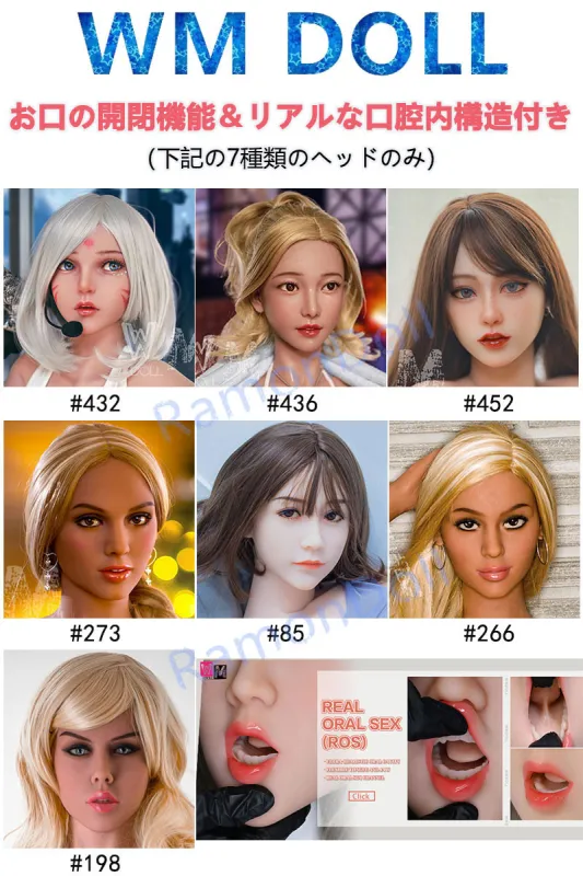 WMDOLL 頭部単品販売 TPEヘッドのみ Head