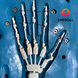 SHEDOLL 158cm Cカップ 顾小雨（Xiaoyu） #1メイク 頭部とボディ選択可ダッチワイフ