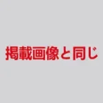 蛍火日記 162cm Aカップ 天成（tiancheng）宣伝画像職人メイクJK衣装選択可能 フルシリコン製 リアルラブドール 塗装加工あり