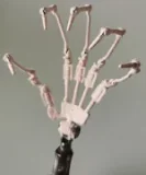 Aotume 135cm Bカップ #115ヘッド リアルドール アニメ人形