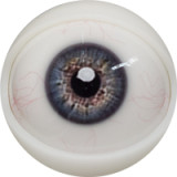 FANREAL 153cm Bカップ 茉（Mo）ヘッド 清純なラブドール