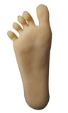 FANREAL 162cm Cカップ Yaoヘッド リアルメイク付き フルシリコン製ラブドール