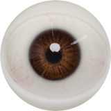 FANREAL 162cm Cカップ Xueヘッド リアルメイク付き 熟女ラブドール フルシリコン製