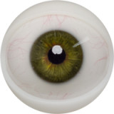 FANREAL 162cm Cカップ Xueヘッド リアルメイク付き 熟女ラブドール フルシリコン製