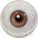 FANREAL 162cm Cカップ Xueヘッド リアルメイク付き 熟女ラブドール フルシリコン製