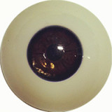 【新作ボディー】 Sanhui Doll シリコン製ラブドール 159cm Fカップ #28ヘッド 美乳 色っぽいリアルドール