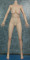 148cm-Dカップ