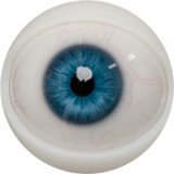 FANREAL 95cm Gカップ Xueヘッド トルソー型ラブドール腕付き 半身人形