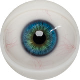 FANREAL 95cm Gカップ Xueヘッド トルソー型ラブドール腕付き 半身人形