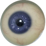 【最新作No.21 164cm Eカップ 媚娘（JOEY ）】人造人(RZRDOLL)   高級シリコン製ラブドール 究極版or普通版が選べる 頭部も選択可能