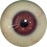 【最新作No.21 164cm Eカップ 媚娘（JOEY ）】人造人(RZRDOLL)   高級シリコン製ラブドール 究極版or普通版が選べる 頭部も選択可能