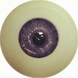 【新作ボディー】 Sanhui Doll 159cm Fカップ #41ヘッド 拘束具をつけたラブドール プラチナシリコン製