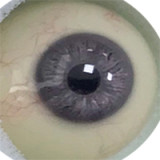 【最新作No.21 164cm Eカップ 媚娘（JOEY ）】人造人(RZRDOLL)   高級シリコン製ラブドール 究極版or普通版が選べる 頭部も選択可能