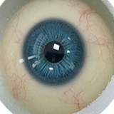 【最新作No.21 164cm Eカップ 媚娘（JOEY ）】人造人(RZRDOLL)   高級シリコン製ラブドール 究極版or普通版が選べる 頭部も選択可能