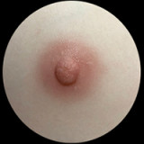 Art Doll 半身トルソー 88cm Eカップ A6ヘッド 歯車EVO骨格採用ダッチワイフ