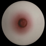 Art Doll 半身トルソー 88cm Eカップ A6ヘッド 歯車EVO骨格採用ダッチワイフ