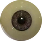 RealGirl 158cm Eカップ C16ヘッド 高身長ラブドール ボディ材質選択可能