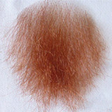 Starpery 清楚系ラブドール 148cm Jカップ Haoヘッド グラマラスなリアルドール