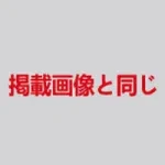 蛍火日記 158cm Eカップ 琉璃(Liuli) 軟質シリコンヘッド S-TPEボディ 魅力的なリアルドール 衣装追加可能