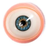 Starpery 等身大ラブドール 176cm Cカップ 超軽量版 Qingwenヘッド 高身長リアルドール