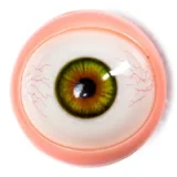 Starpery 等身大ラブドール 176cm Cカップ 超軽量版 Qingwenヘッド 高身長リアルドール