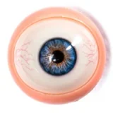 Starpery 等身大ラブドール 176cm Cカップ 超軽量版 Qingwenヘッド 高身長リアルドール