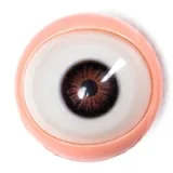 Starpery 等身大ラブドール 176cm Cカップ 超軽量版 Qingwenヘッド 高身長リアルドール