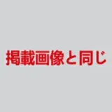 蛍火日記 158cm Eカップ 琉璃(Liuli) #3メイク STPE材質ボディ+シリコンヘッド 等身大ラブドール 超リアルドール