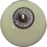 RealGirl C工場制 171cm Eカップ C26ヘッド 大柄なリアルドール