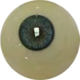 RealGirl C工場制 171cm Eカップ C26ヘッド 大柄なリアルドール