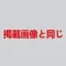 掲載画像と同じ（ブロンドの植毛付き）