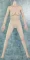 158cm-Cカップ