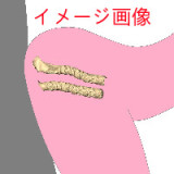 フェミニンなラブドール Art Doll 148cm Dカップ M1ヘッド M16ボルト採用ダッチワイフ