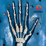 SHEDOLL 可愛らしい少女ラブドール 152cm AAカップ 柠檬（Lemon）ヘッド ほっそりした体つき