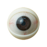 MyLoliWaifu ロリドール 127cm Aカップ 直美（Naomi）ヘッド 子供らしいラブドール