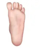 XTDOLL 新作ボディ 166cm Hカップ Belle(XT-46)ヘッド 等身大ラブドール