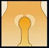 XTDOLL 巨乳ギャル 160cm Hカップ XT-39-B Graceヘッド シリコン製ラブドール